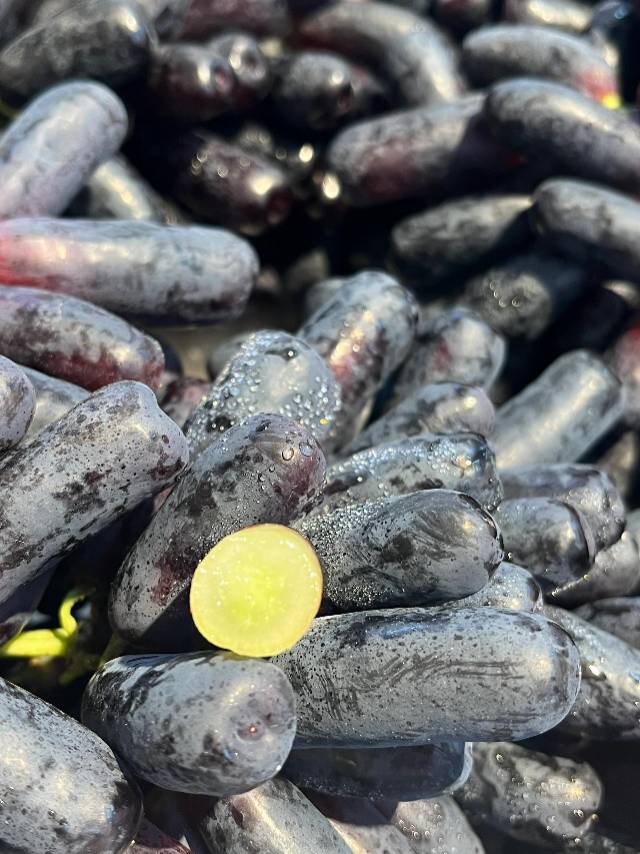 美人指黑提🍇-超多花青素！ 👉带着澳洲阳 配图1