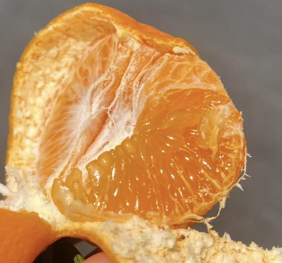 #春见耙耙柑🍊 超甜系列呀 吃一口就是深 配图2