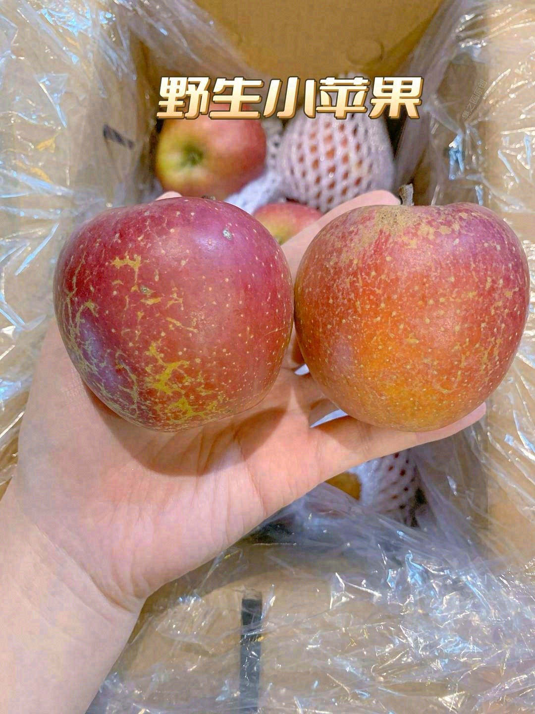 🌿冰糖心苹果甜蜜上市，苹果中的极品👍 甜 配图3