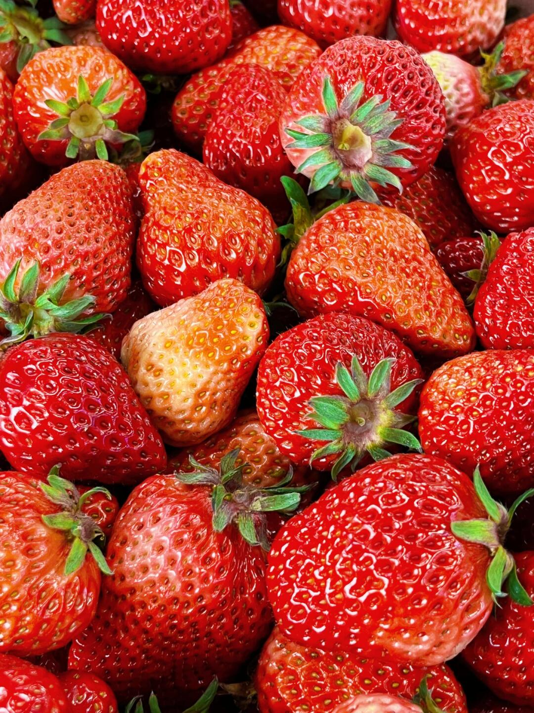 🍓✨〰︎ ɴɪᴄᴇ ᴅᴀʏ ࿎ 今天是草 配图1