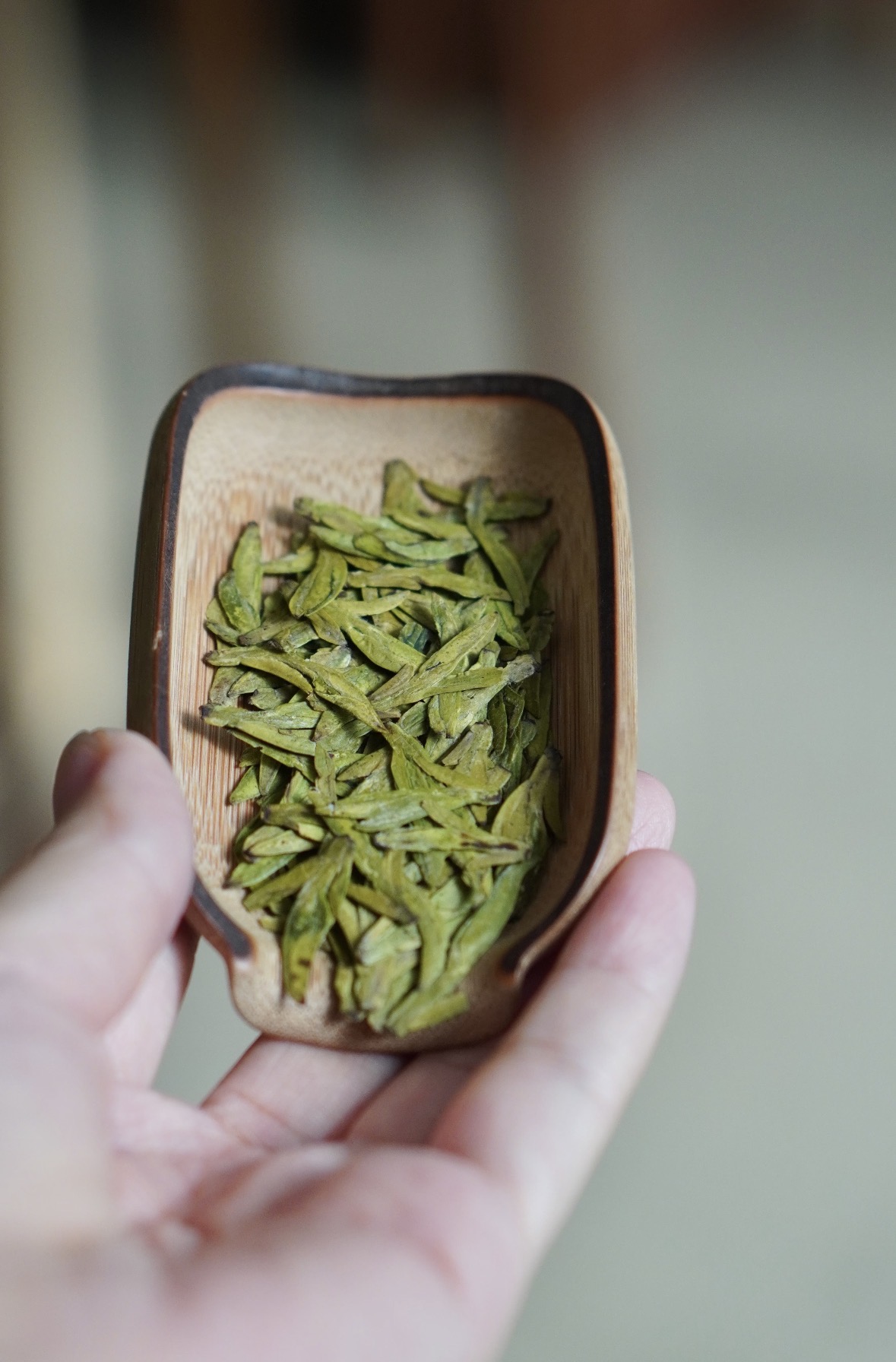 春茶贵如金，明前抢先尝。手工辉锅，豆香馥 配图2