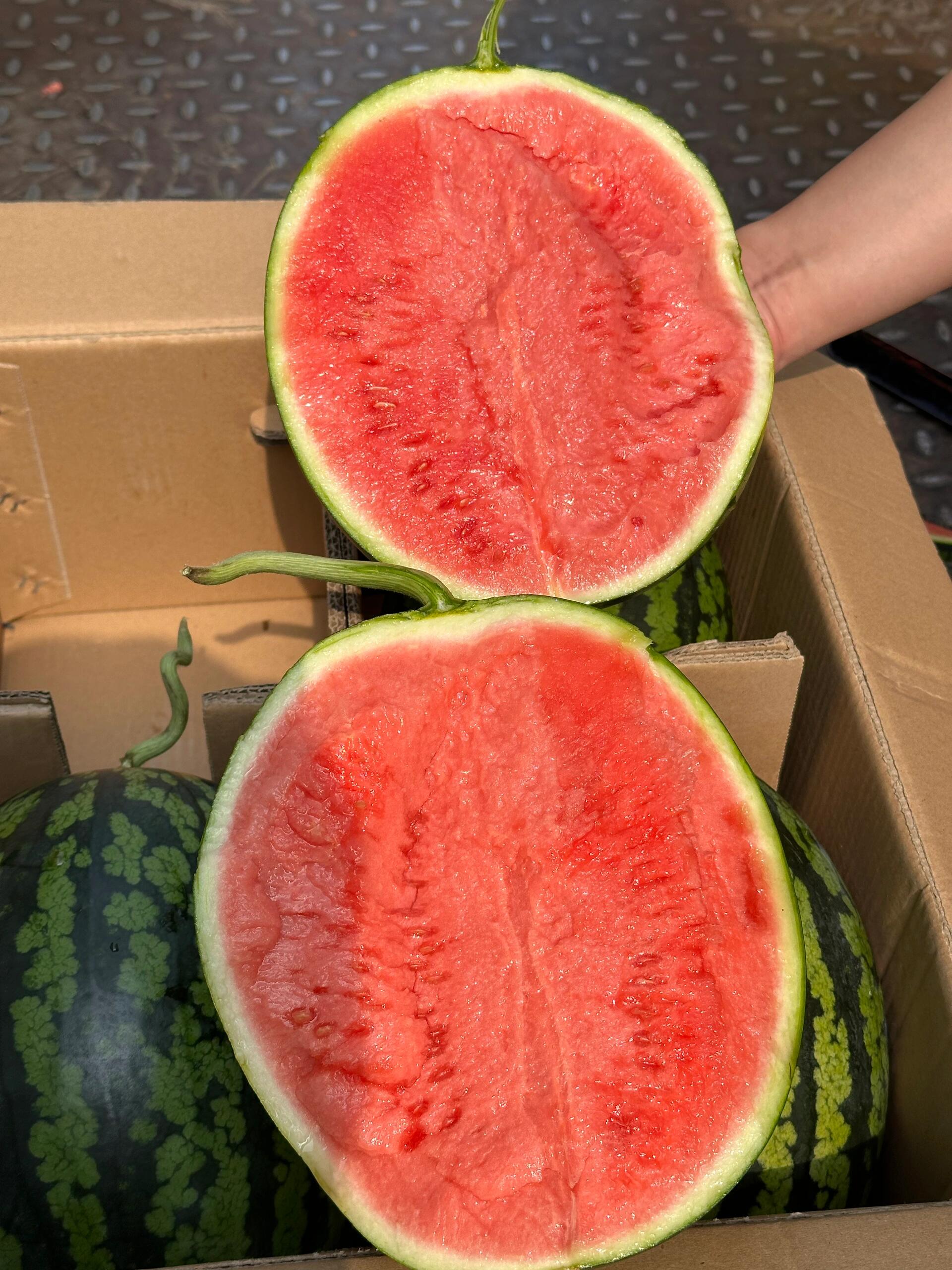 4K甘美西瓜🍉，这个春天不能没有你🌈 足 配图3