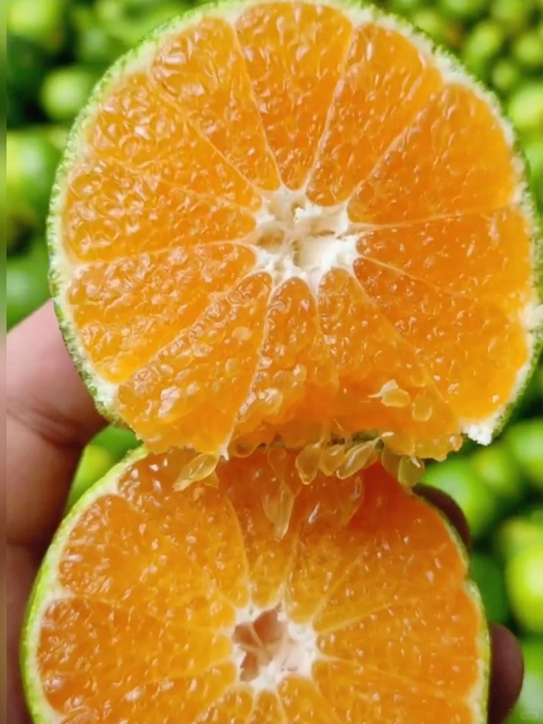🍊秋日里拒绝不了的那一抹黄绿！ 粒粒果肉 配图1