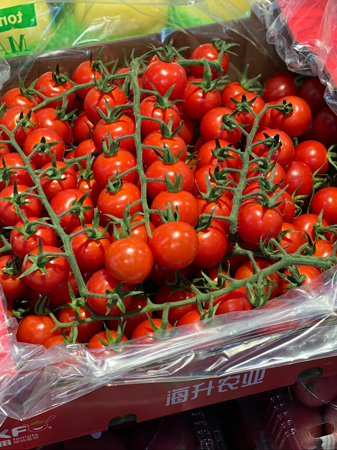 🍅水果中的“小糖豆”——串收番茄✨ 大小 配图2