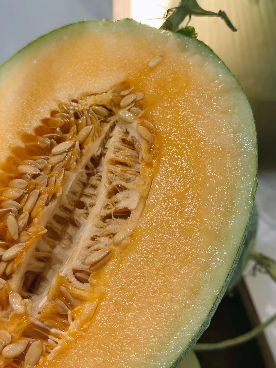 这个季节 没有什么比吃西州蜜瓜🍈更棒的了 配图2