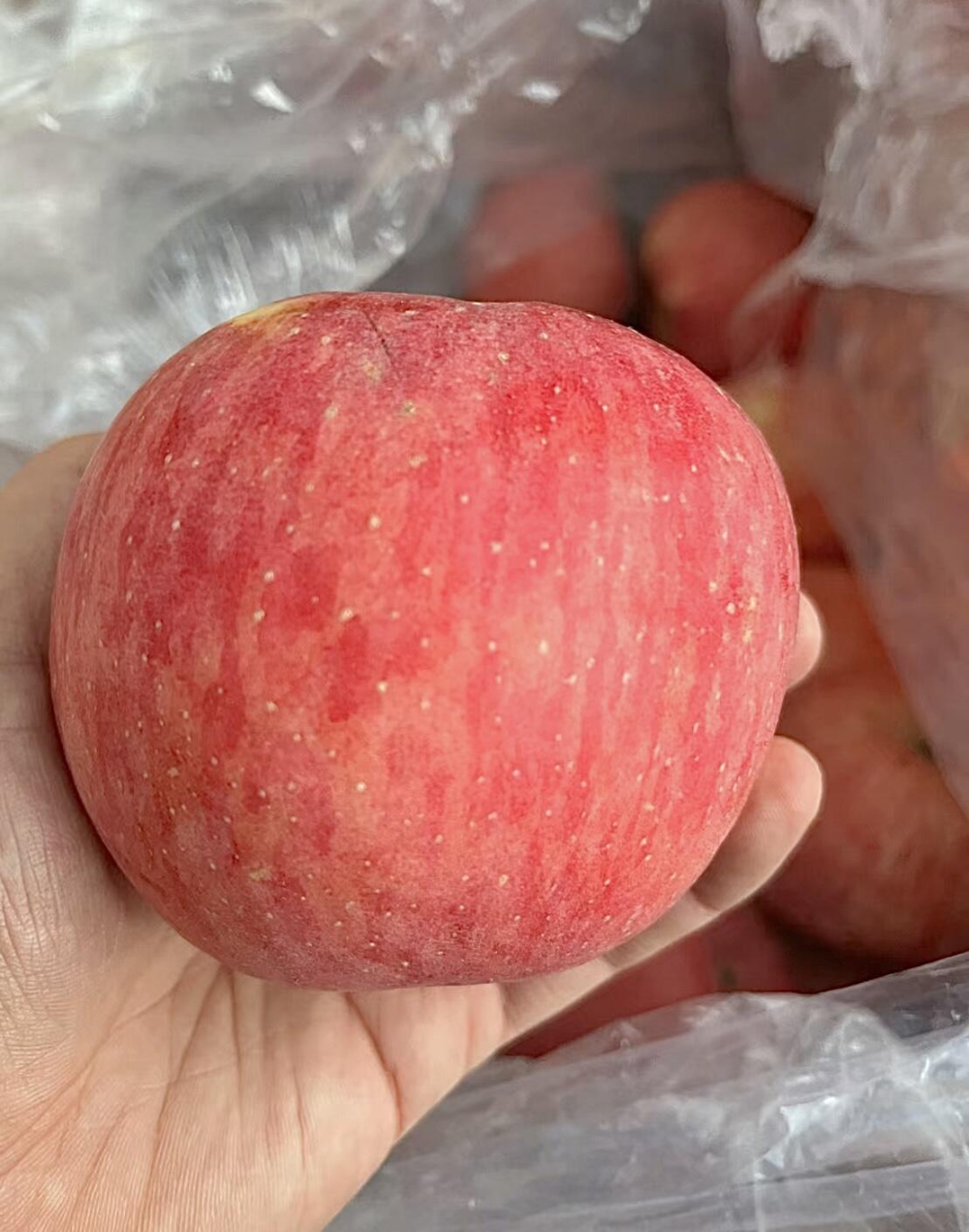 妈妈最喜欢吃的水果，没有之一🍎洛川苹果🍎 配图1