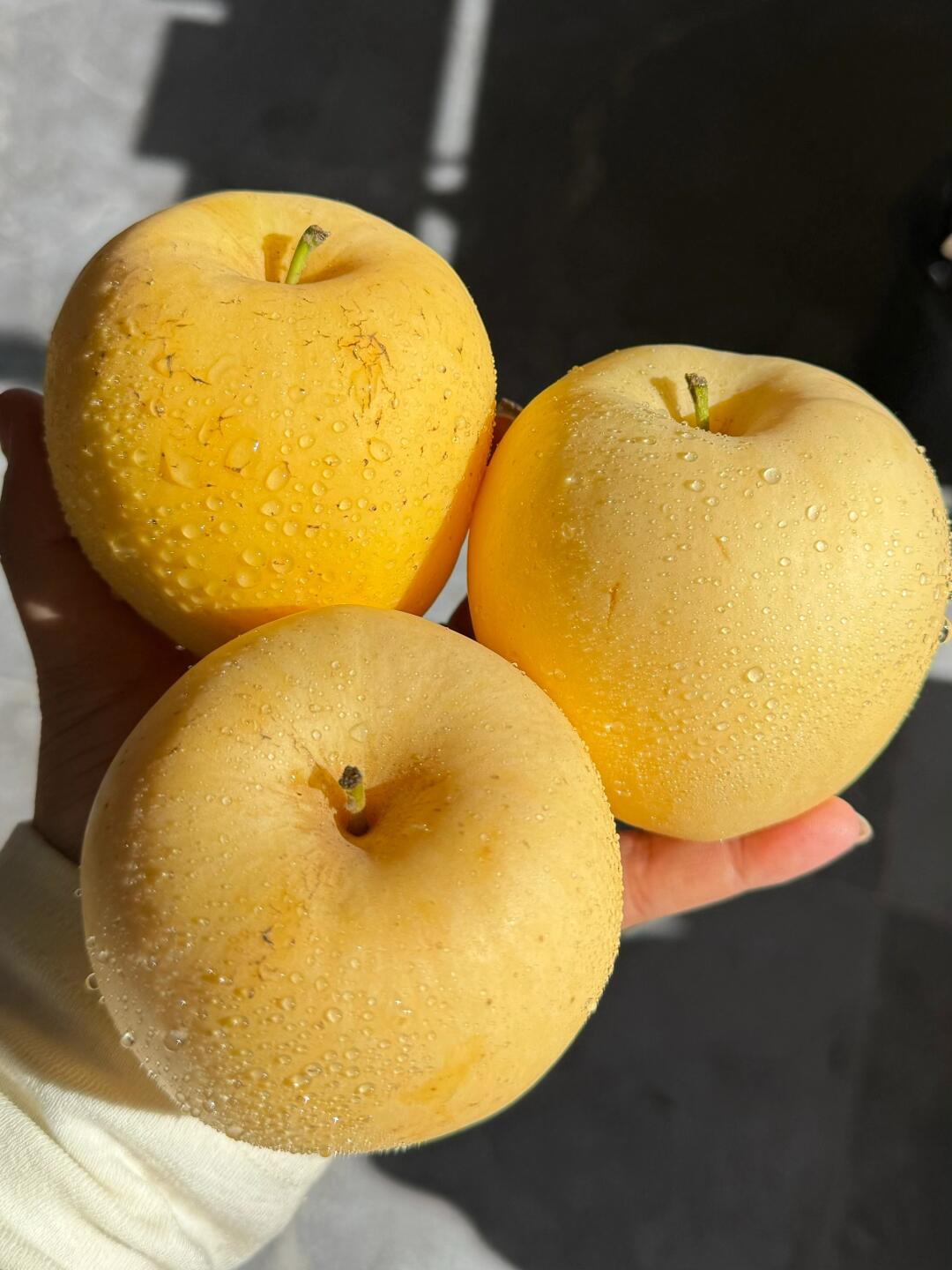 王者级苹果🤗～［维纳斯黄金苹果］🍎 ✅  配图2