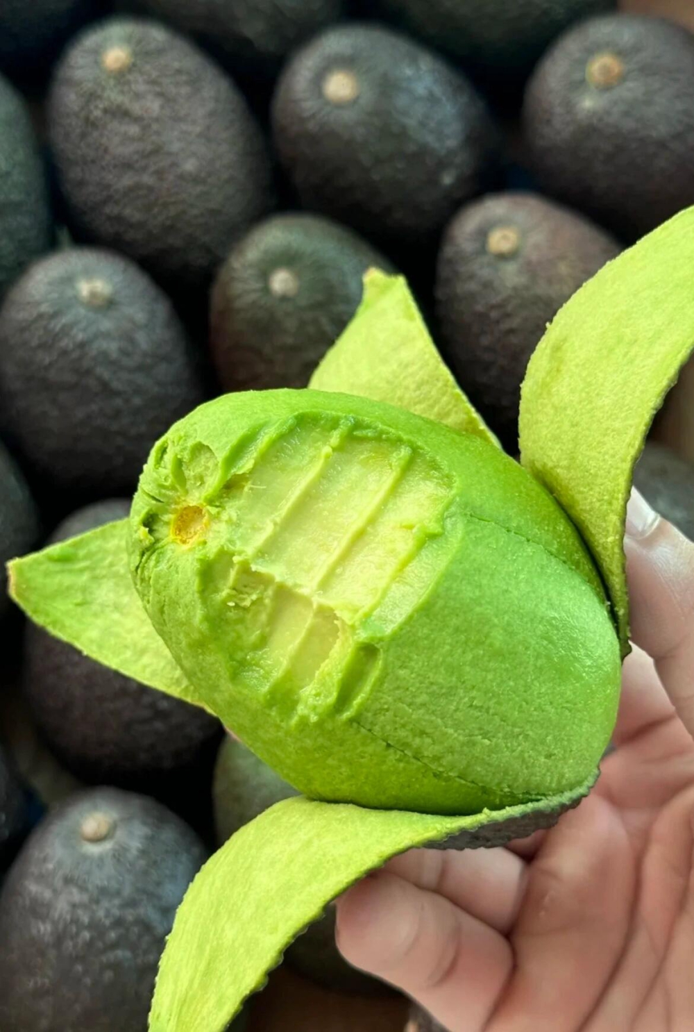 🥑【绵密丝滑】哈斯牛油果🔥“森林之奶油” 配图1
