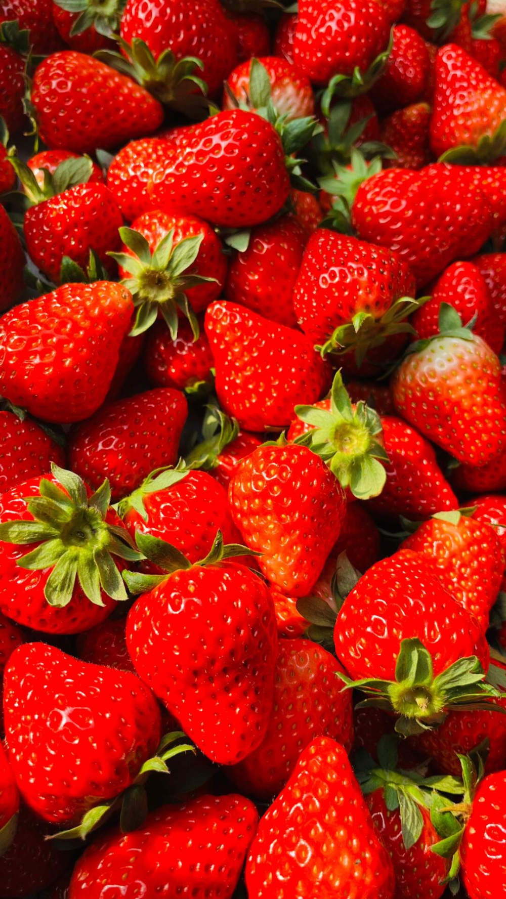 冬天正是吃草莓🍓的季节新到的红颜草莓分外 配图1