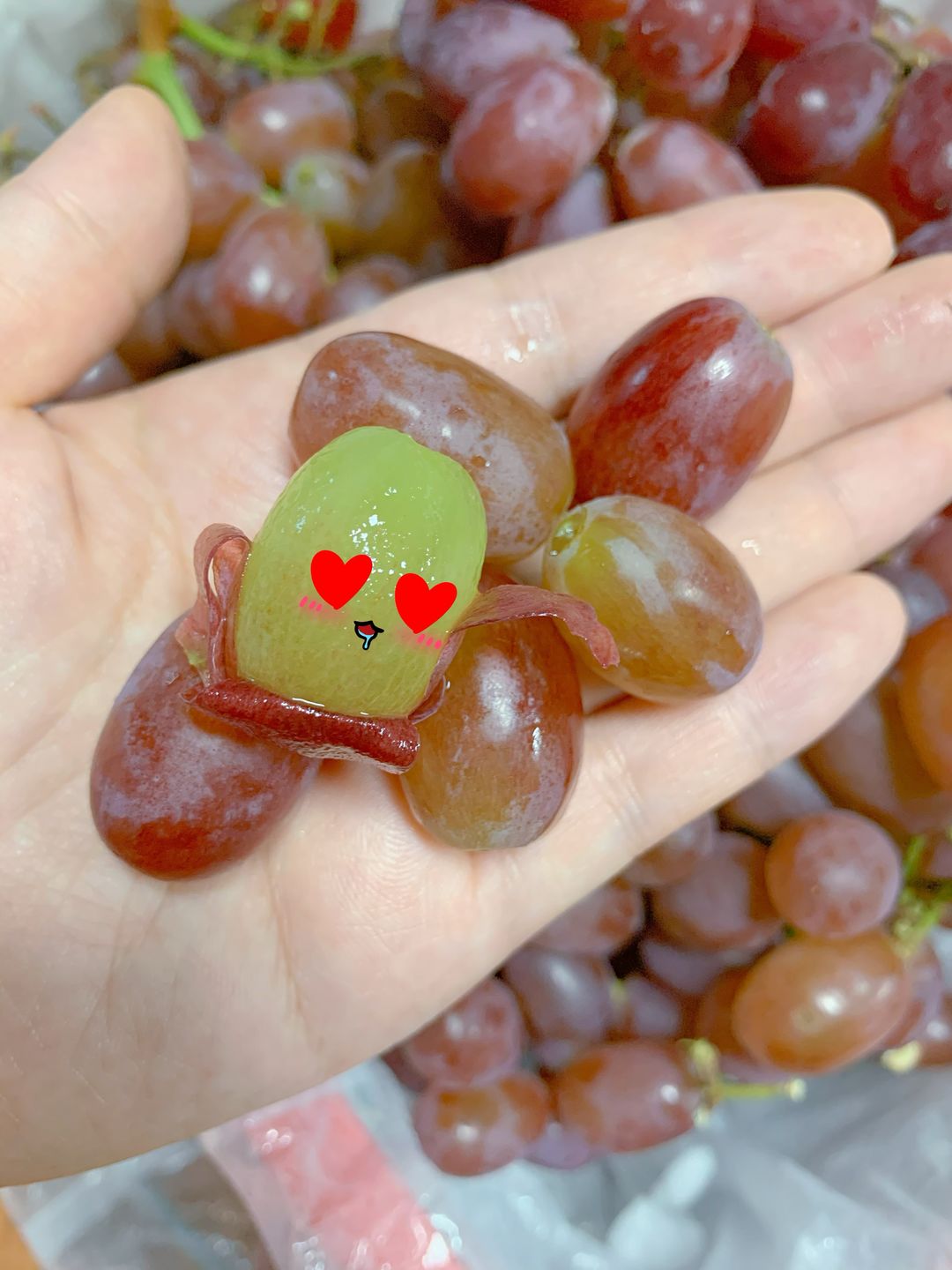🍇🍇水果版の爆爆珠！克伦生无籽红提🍇🍇  配图1