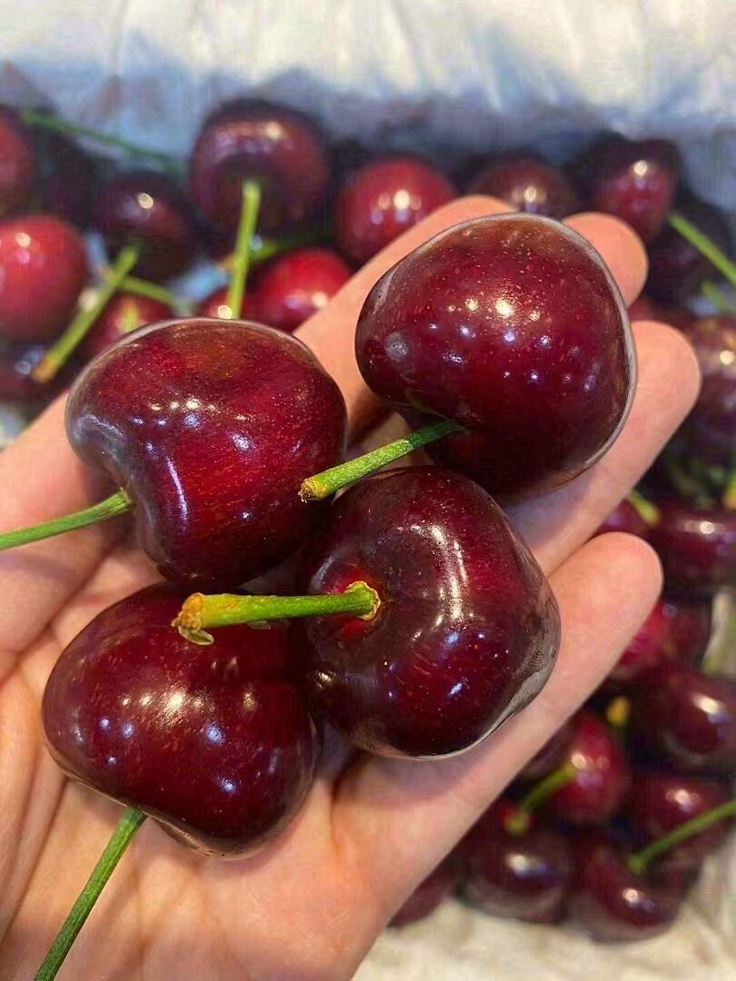 这个樱桃谁懂啊！！！🍒有的路，你必须自己 配图2
