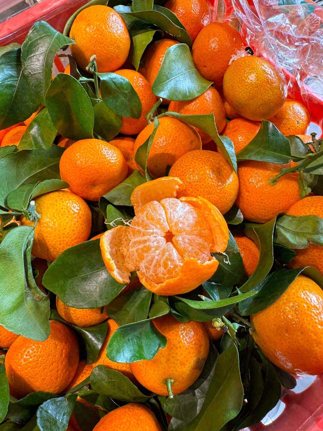 橘中之王👑，深冬砂糖🍊 香气浓郁🌈，甜而 配图1