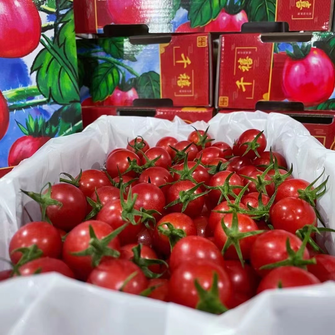万鼎-红千禧🍅🍅 茂名电白千禧果，是不是 配图1