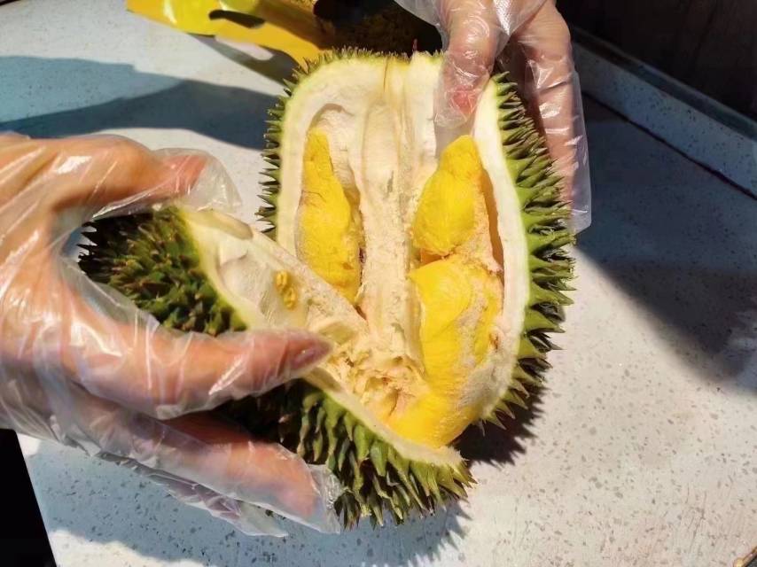 🇲🇾猫山王榴莲 此生不食猫山王，尝遍榴莲 配图1