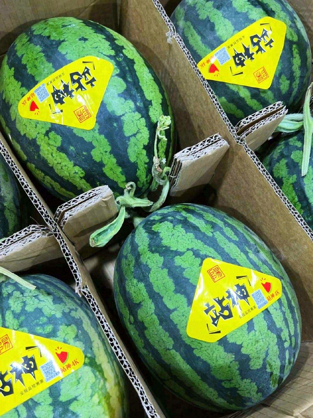 🌞【水果摊的治愈魔法】 "不开心的时候，就来水果摊充充电吧！ 配图6