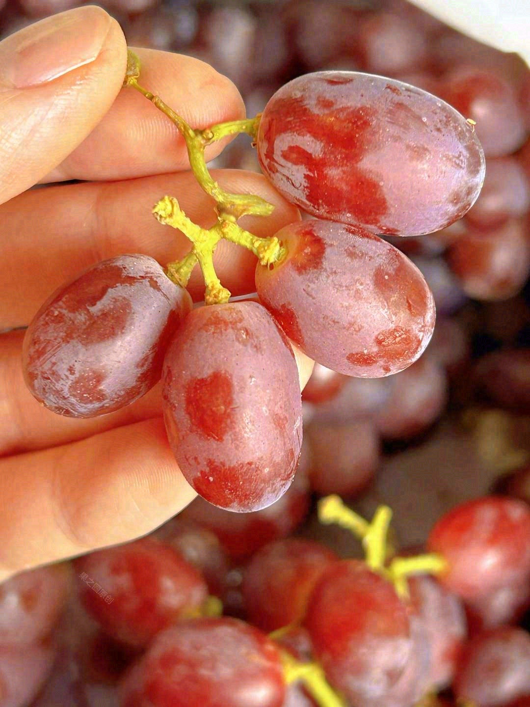 🍇每一颗都像是薄皮爆汁的甜美小果冻，连皮 配图2