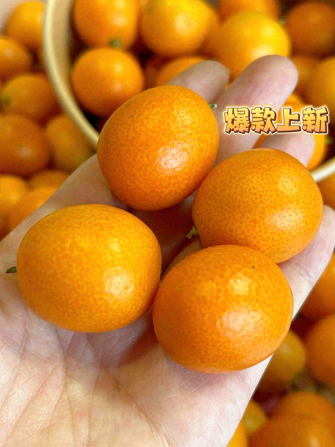 脆甜金桔🍊滑皮小甜心💛 从皮到芯都透着甜 配图3
