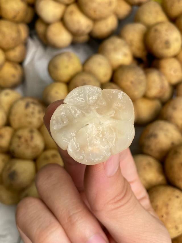 🥔 泰国龙宫果 🥔形似一颗一颗的小土豆  配图2