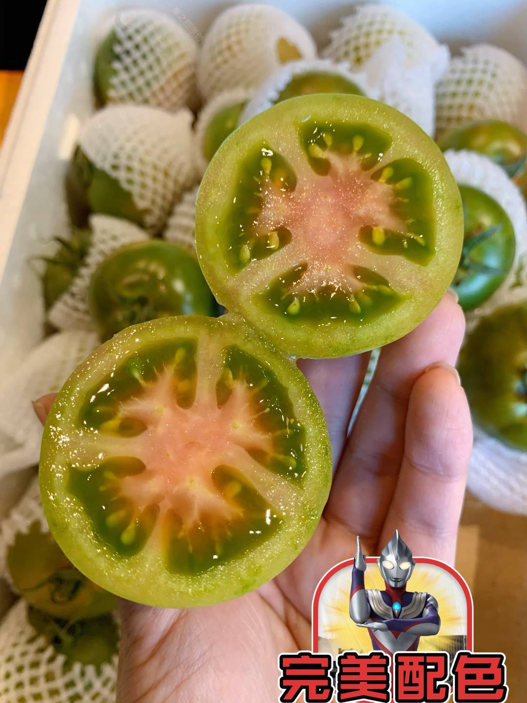🍅身材娇小，果肉脆嫩，沙瓤多汁，生津止渴 配图2