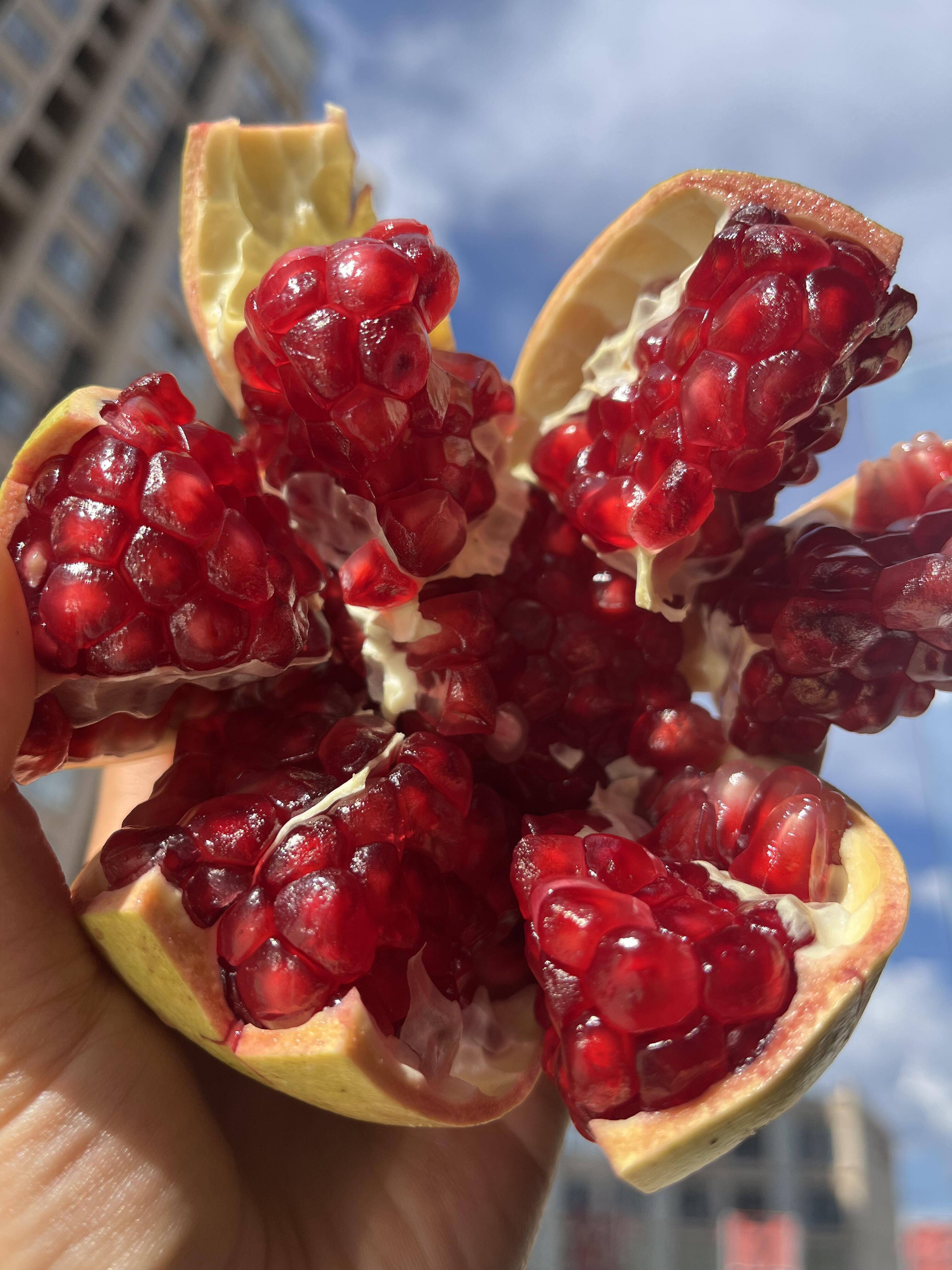 藏在秋天🍂里的甜蜜💕 突尼斯软籽石榴❤️ 配图1