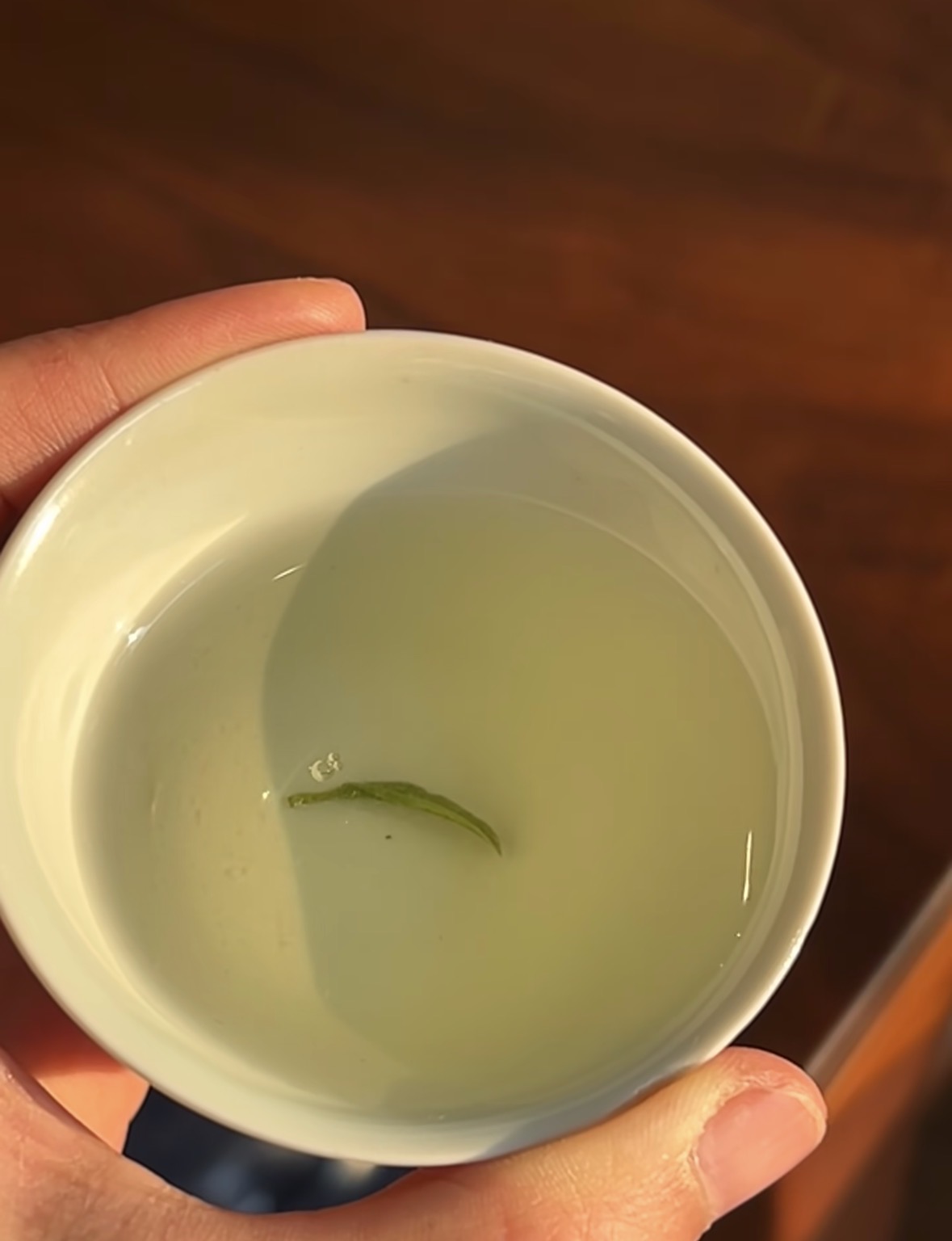 🍵春日限定好茶｜正宗信阳毛尖 高山云雾生 配图3