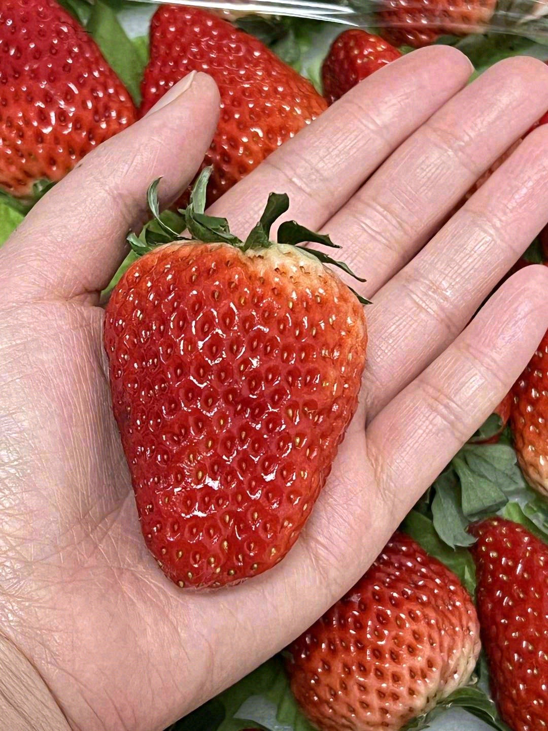 🍓一身颜润如宝石的鲜艳红色🔴 浓郁且舒服 配图2