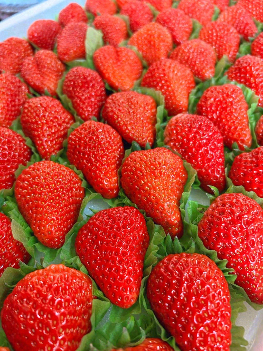 冬天的草莓🍓 莓心莓肺，莓烦恼，等你来品 配图2