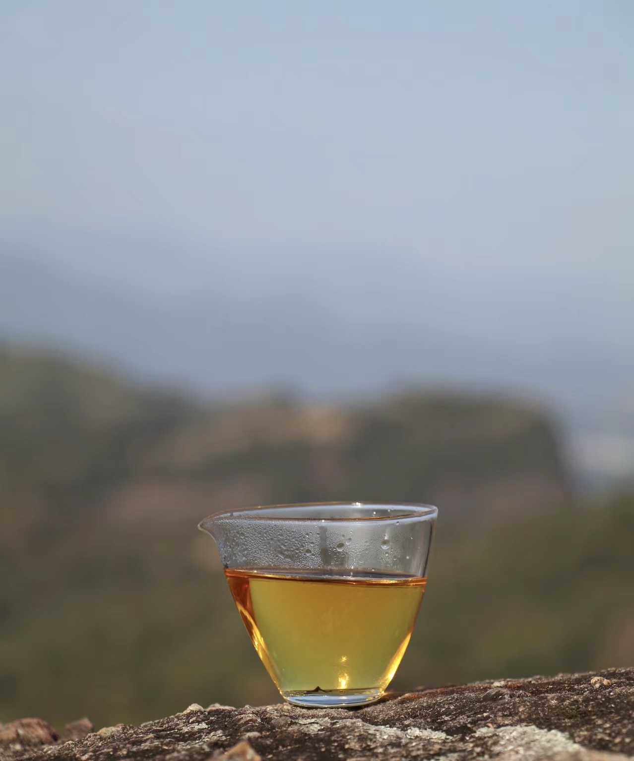 我的茶叶是个宝，提神醒脑效果好。滋味香醇 配图3