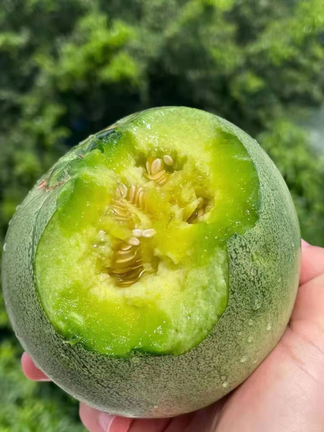 🥝【认真吃水果，认真享受生活‼️】 多汁 配图1