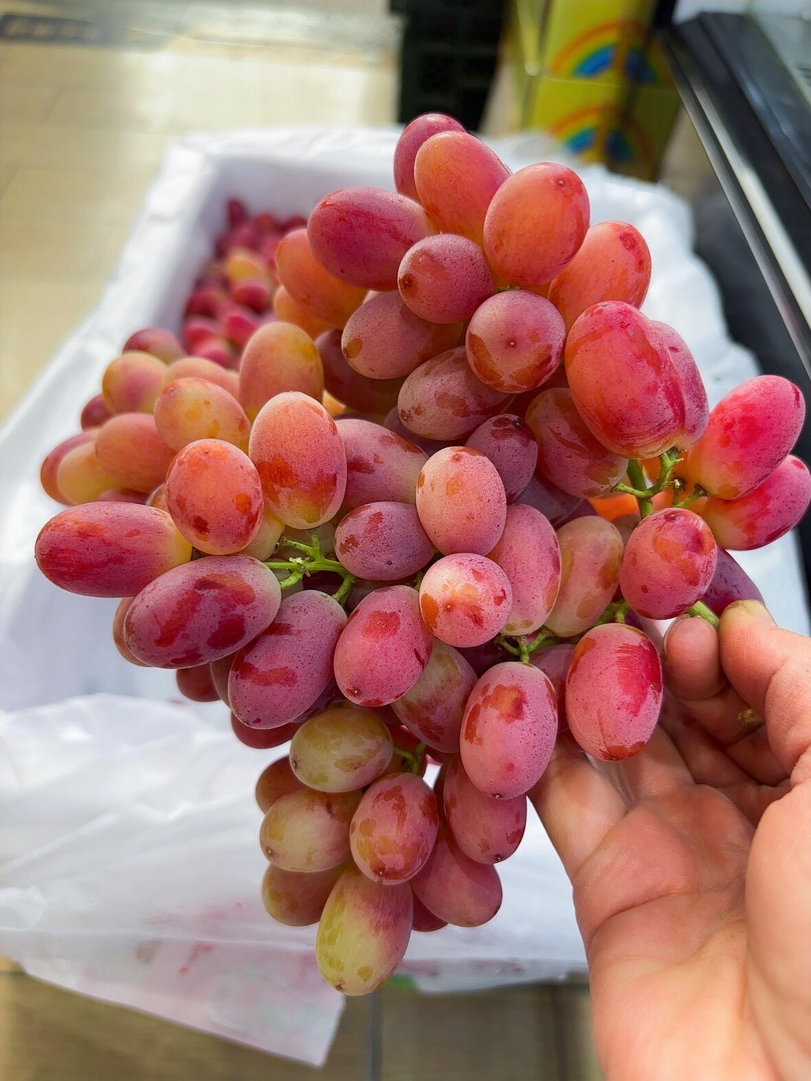 脆甜无籽提🍇 克伦生无籽红提🍇巨新鲜🍃， 配图1