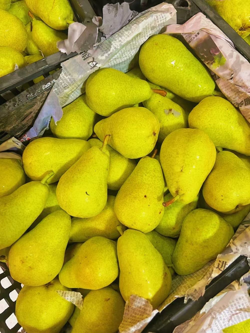 🍐💧 香梨：我是 “润喉小卫士”🛡️ 脆 配图3