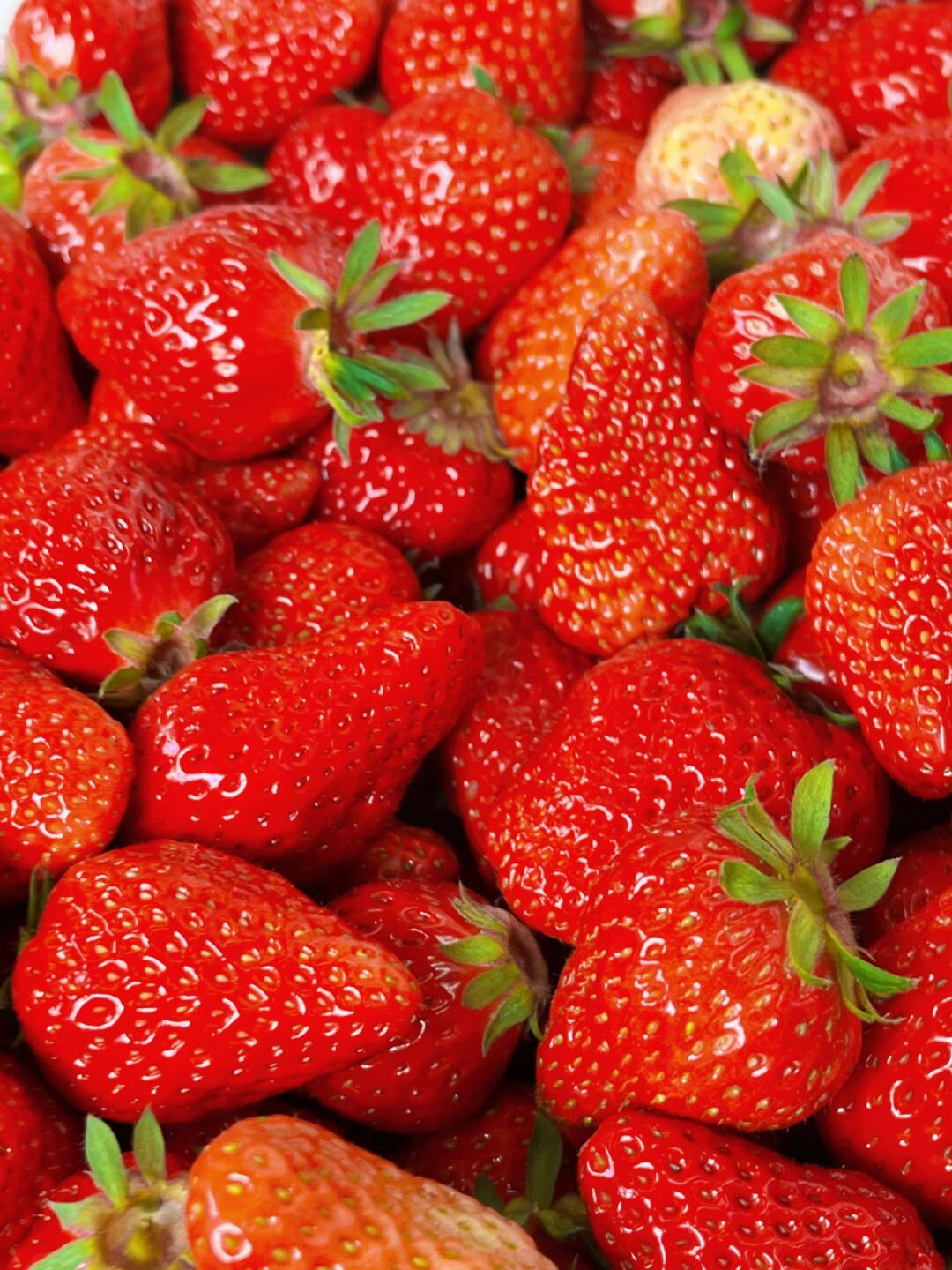 冬天的快乐🙂 丹东红颜草莓（超大果）🍓  配图1