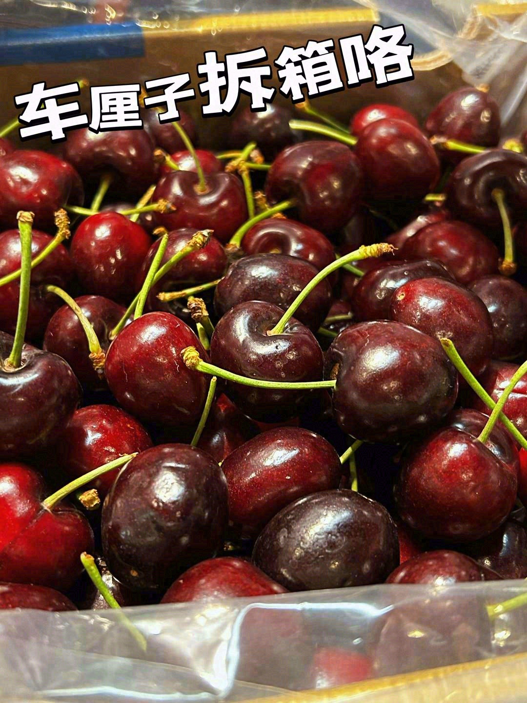 请原谅我的粗俗👍 没有高级的言语，没有精 配图3
