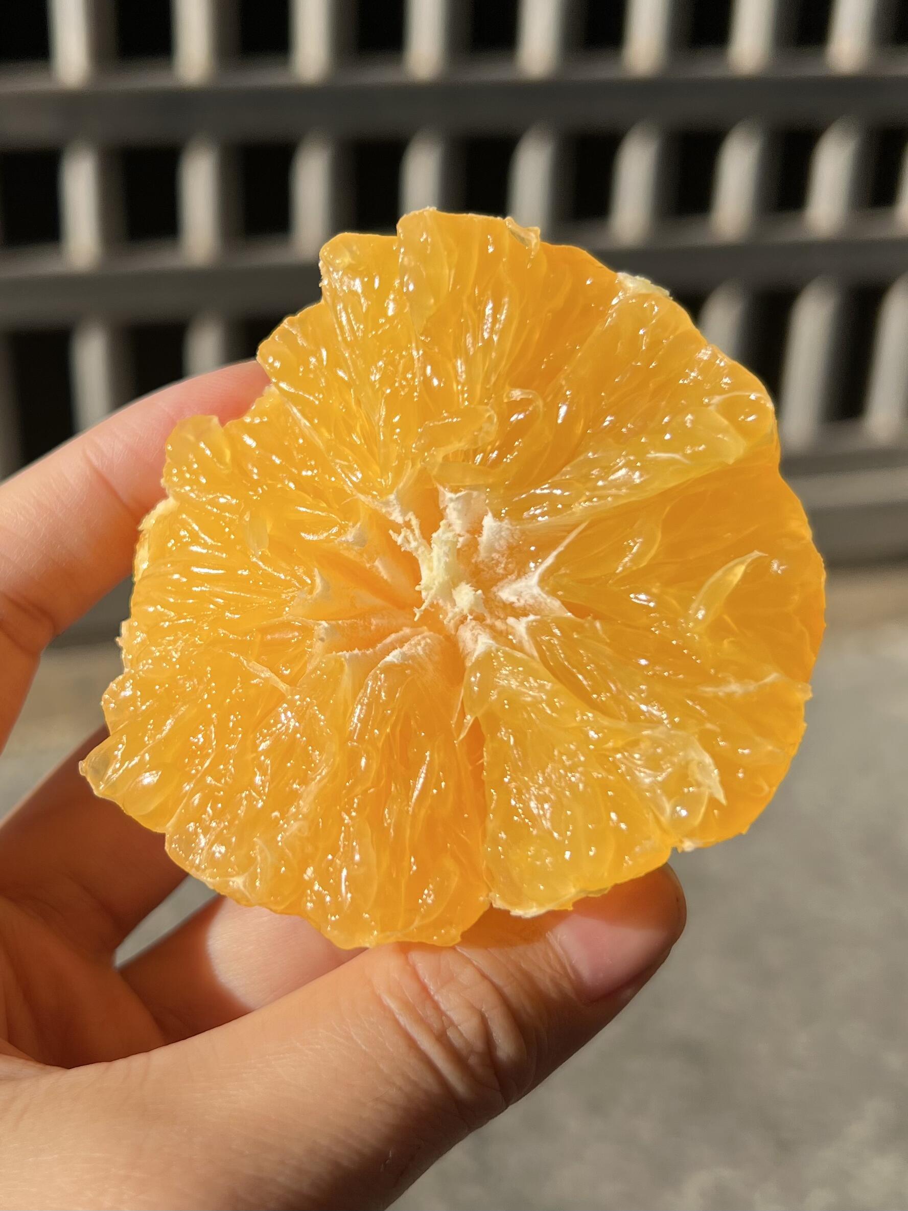 🔆阳光里沐浴出来的爱媛果冻橙🍊 不敷衍， 配图1
