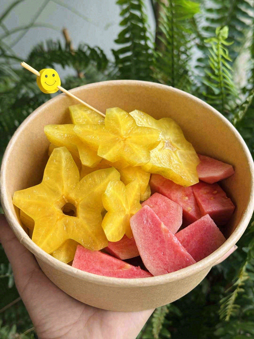 阳光明媚的慵懒午后🥰 ，吹着微风的温暖时 配图1