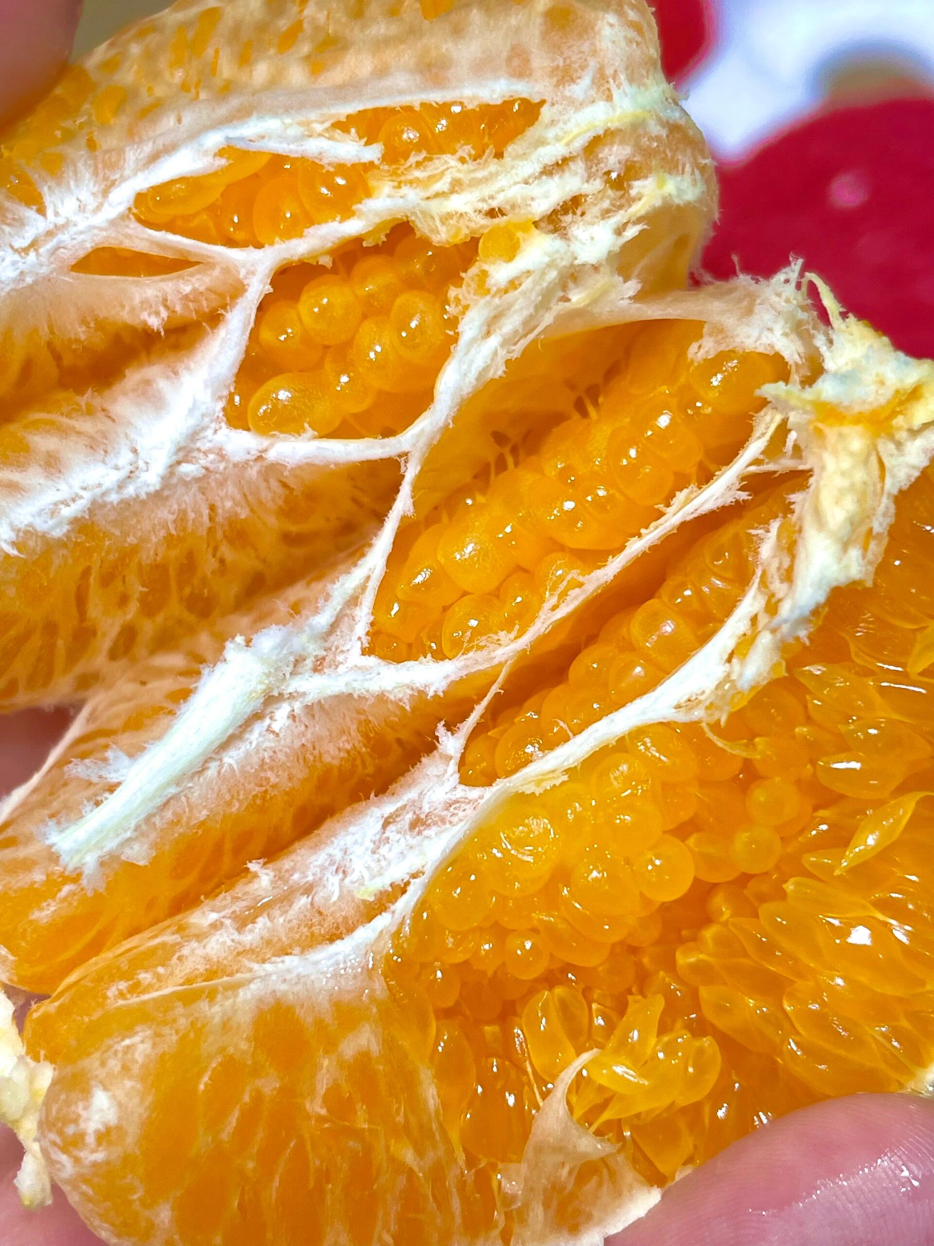 🍊 春见耙耙柑！🍊 果皮松软好剥👌一掰就 配图2
