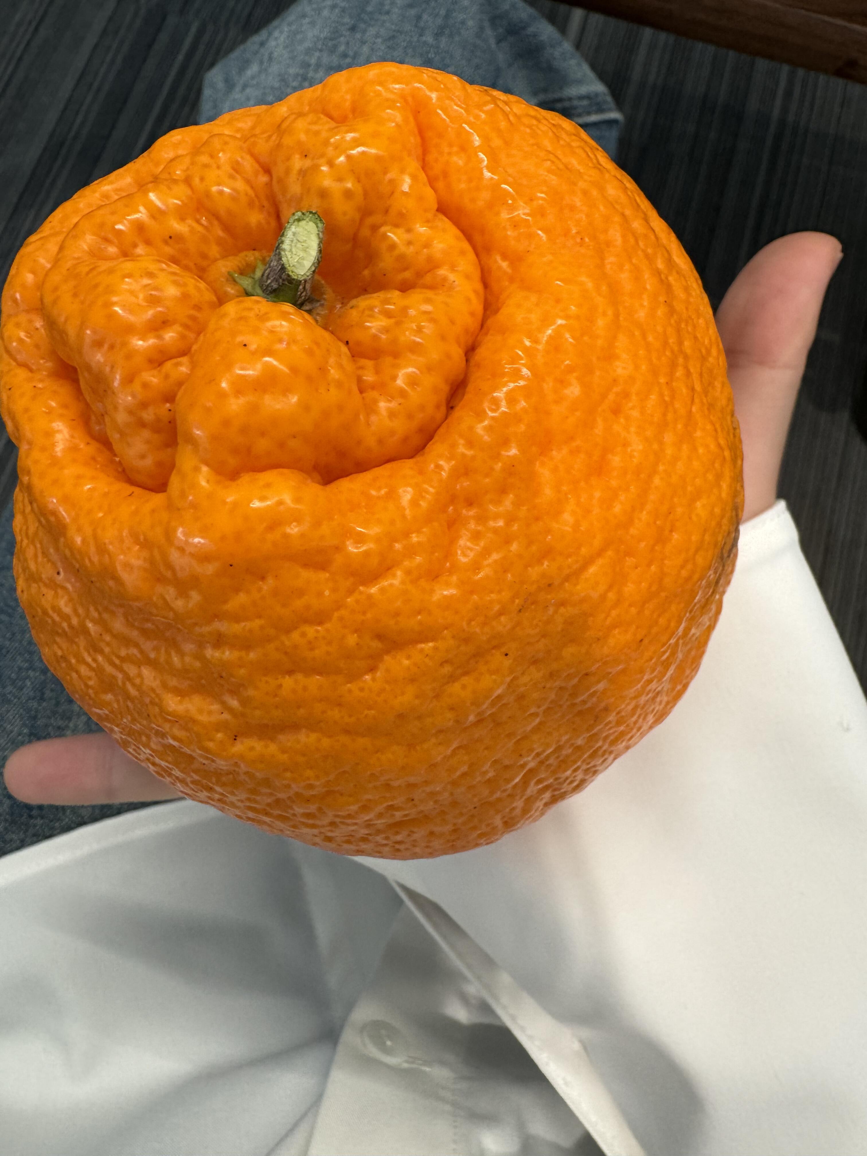 🍊 不知火丑橘越丑越甜！ 果皮粗糙像丑八 配图2