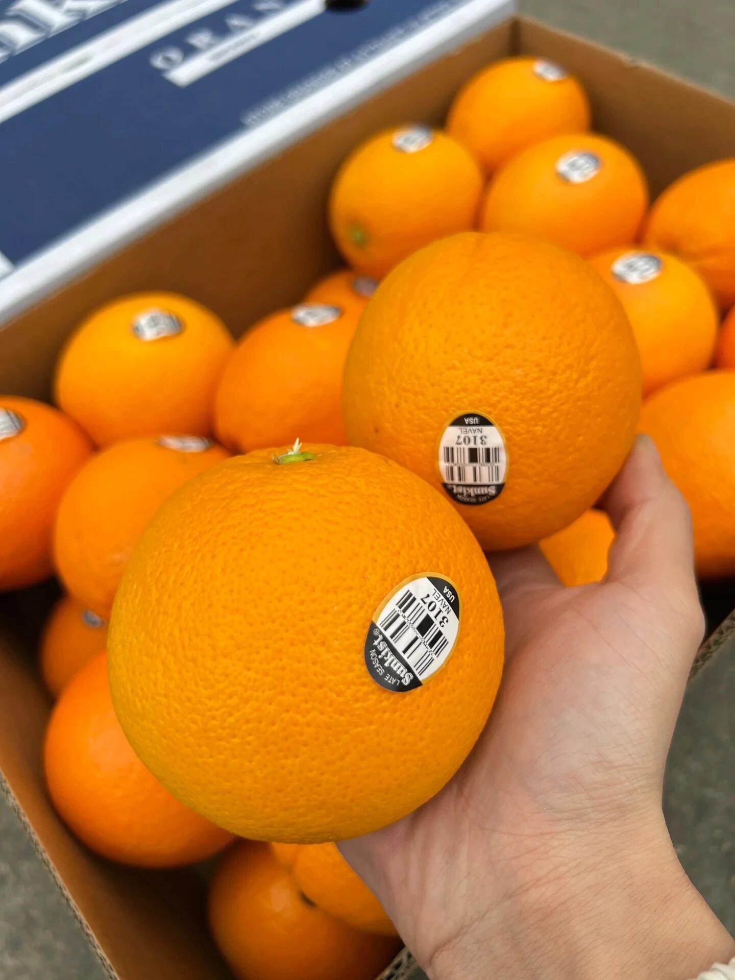 🍊进口脐橙这批很稳‼️ 果肉饱满，看着就 配图2