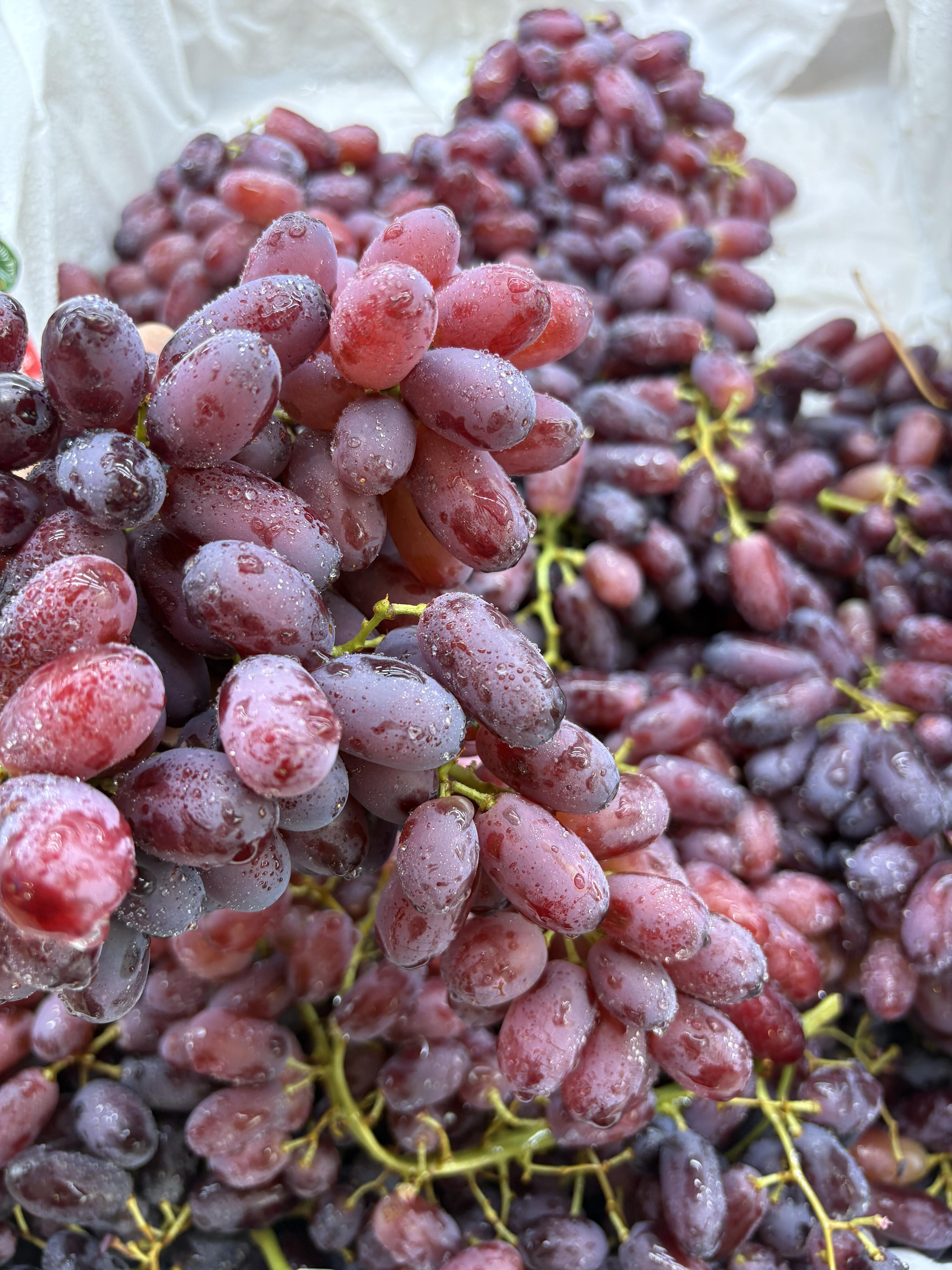 美人指🈚️籽黑提🍇 稀有品种🌟，外形独特 配图2