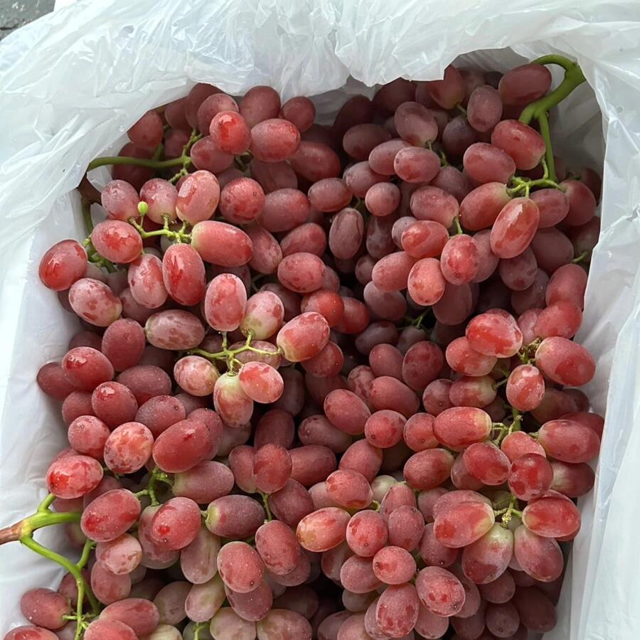 一个字，靓😍 🍇无籽红提新鲜到货🔥，当季 配图1