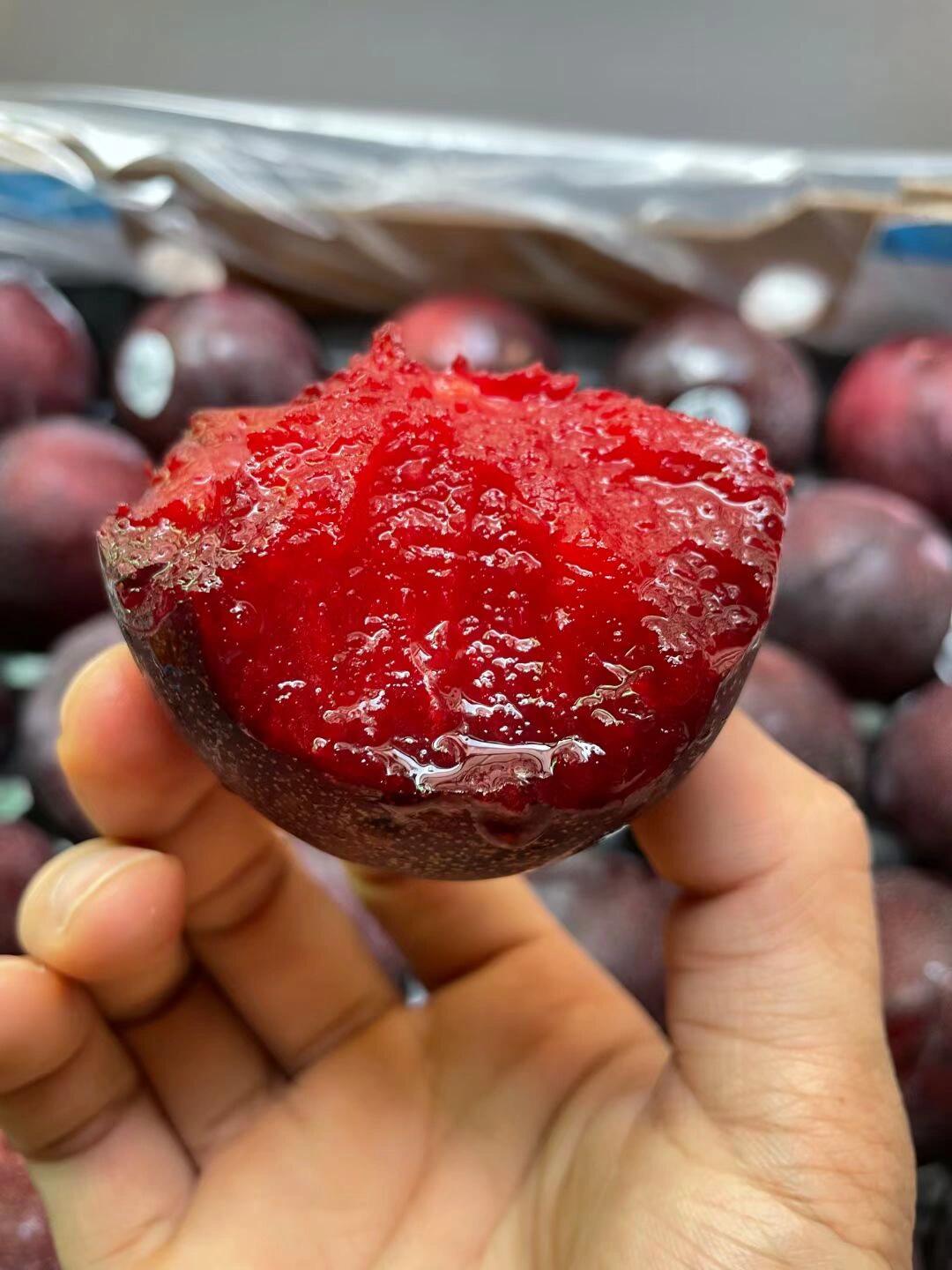 🍀 凤凰李回归❤️～ 希望我们的生活像李 配图3