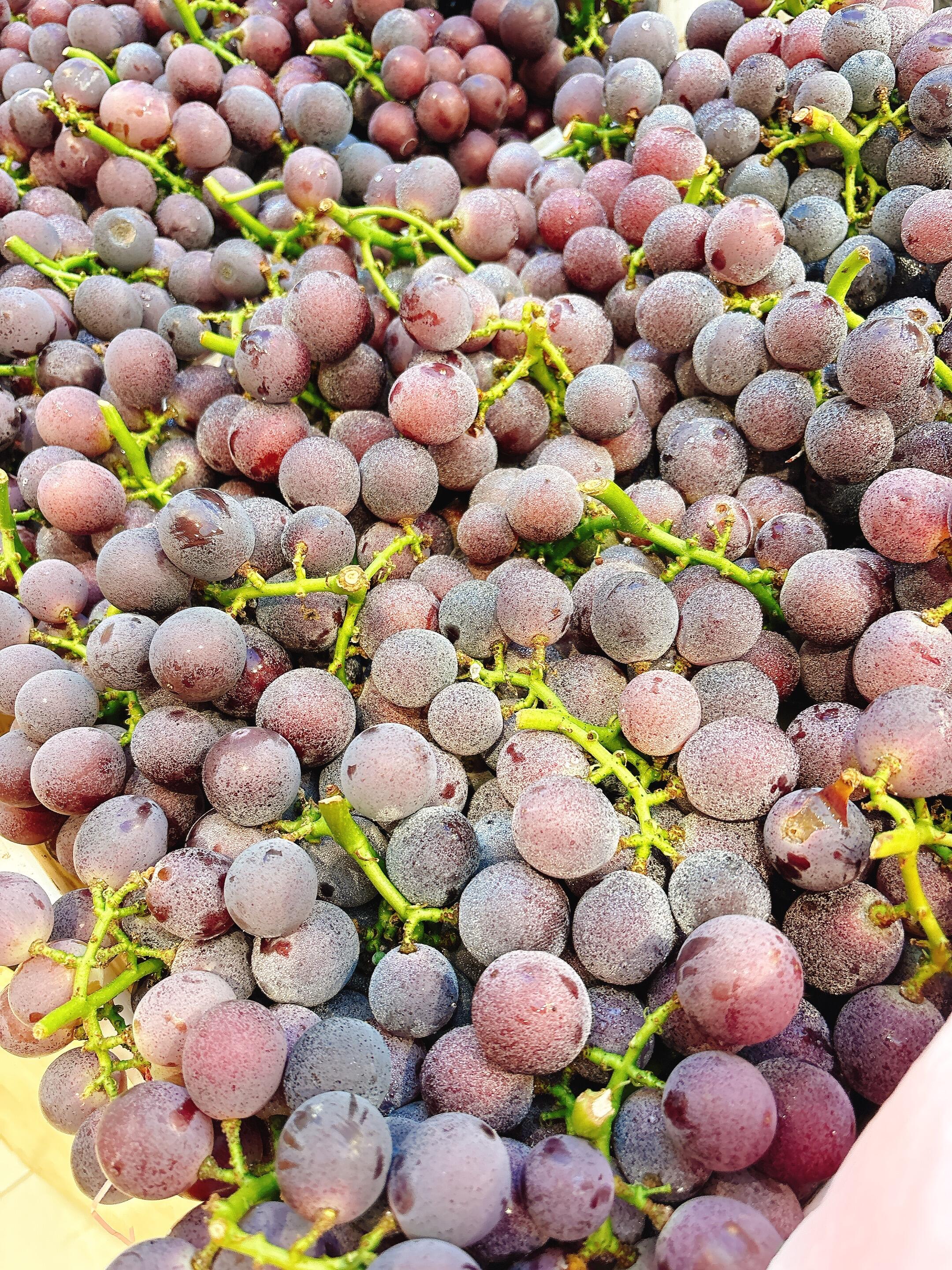 冬天的巨峰葡萄🍇，着实撩人 圆润饱满，葡 配图3