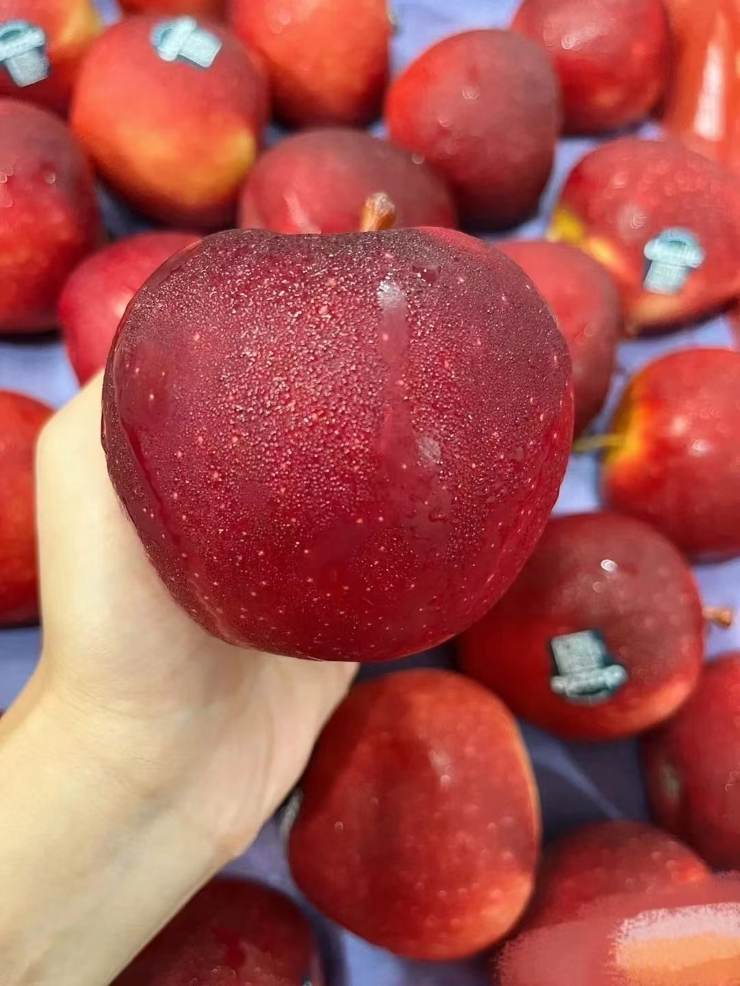 🇳🇿新西兰丹烁苹果🍎🍎🍎 皮特别薄，水分 配图2