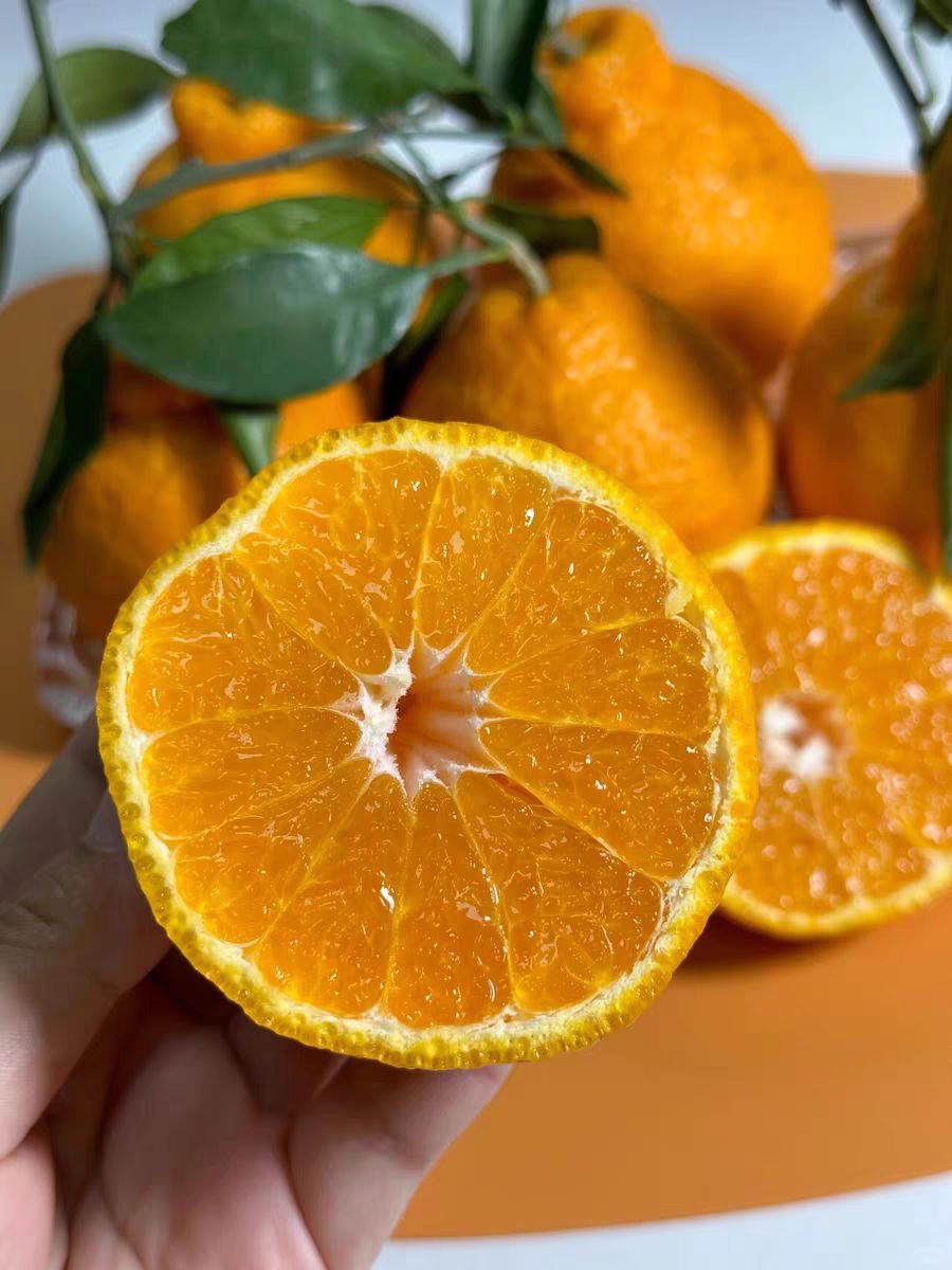 🍊【不知火丑橘爆汁上线啦‼️】 果肉饱满 配图3