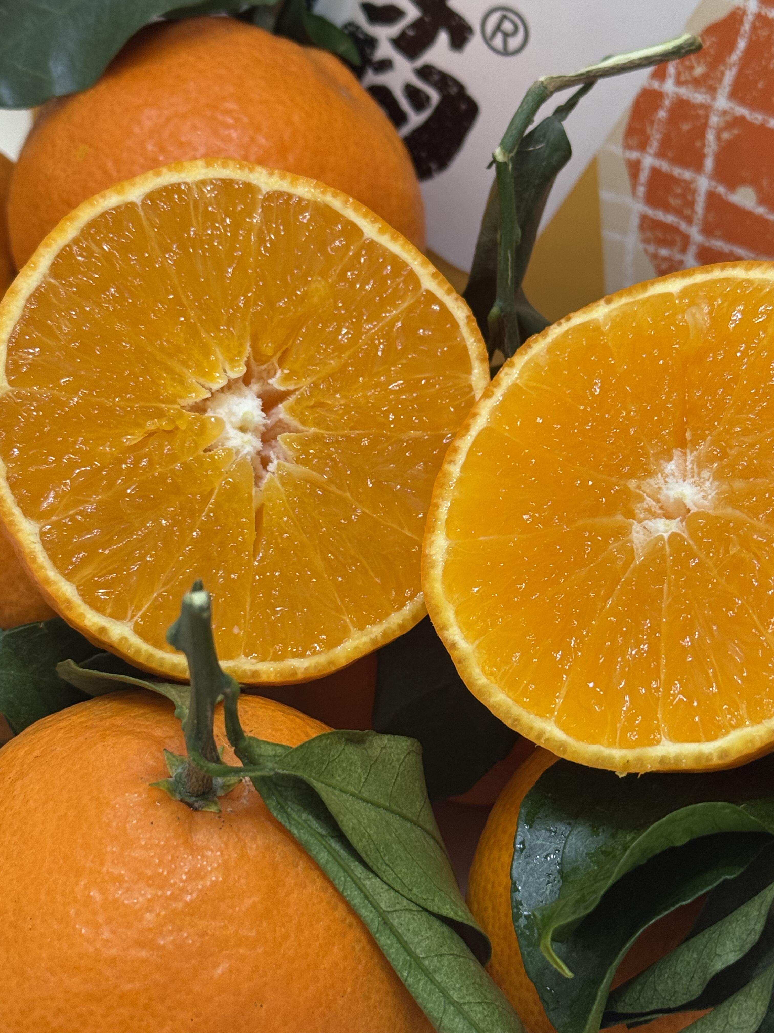 『爱媛果冻橙』🍊到货！ 补充维C必吃款， 配图3