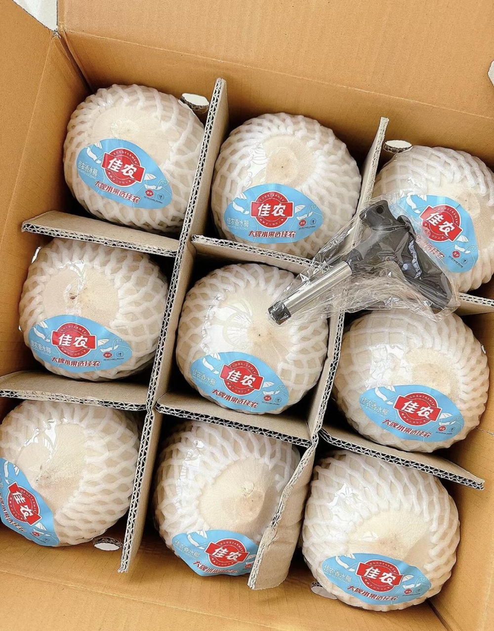 泰国🇹🇭佳农进口香水椰青🥥 天气闷热需要 配图3
