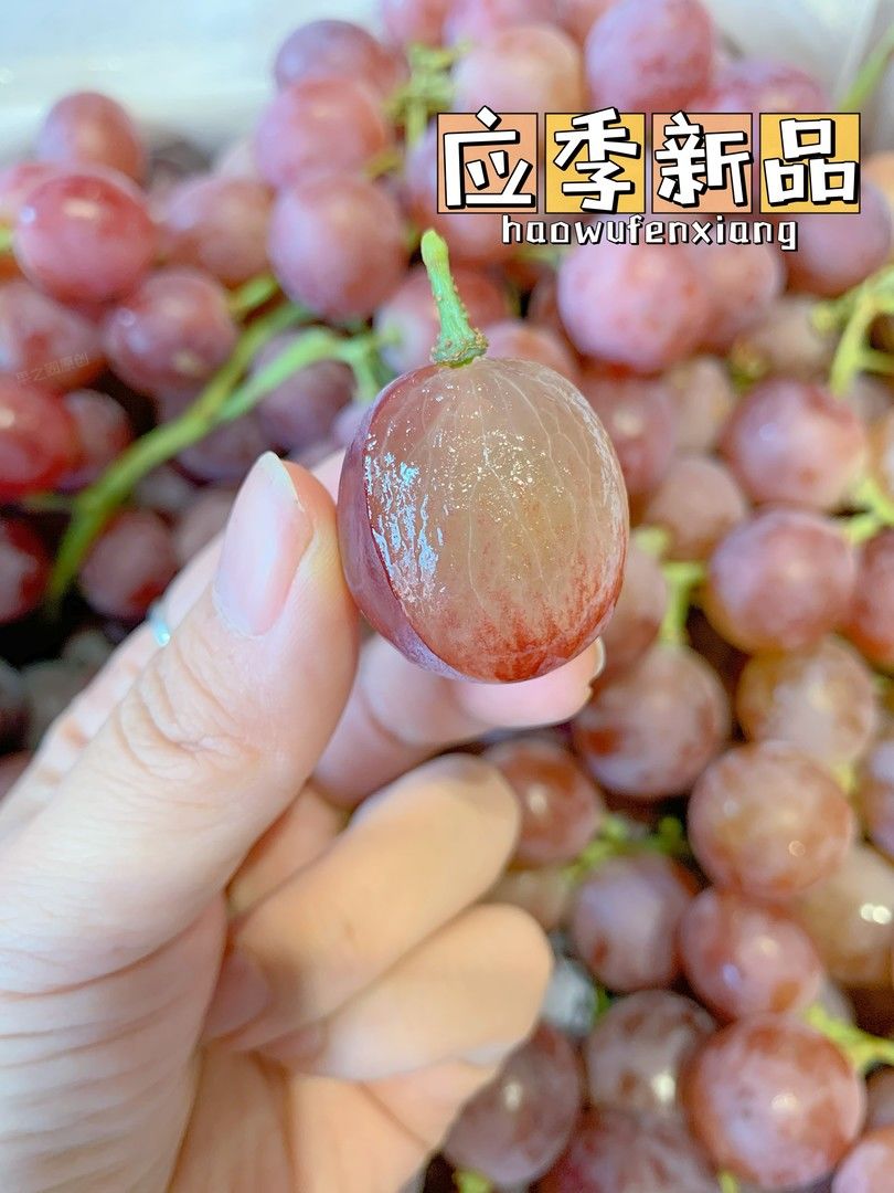 冬天的多汁💦担当 风味浓香，色泽靓丽，果 配图2