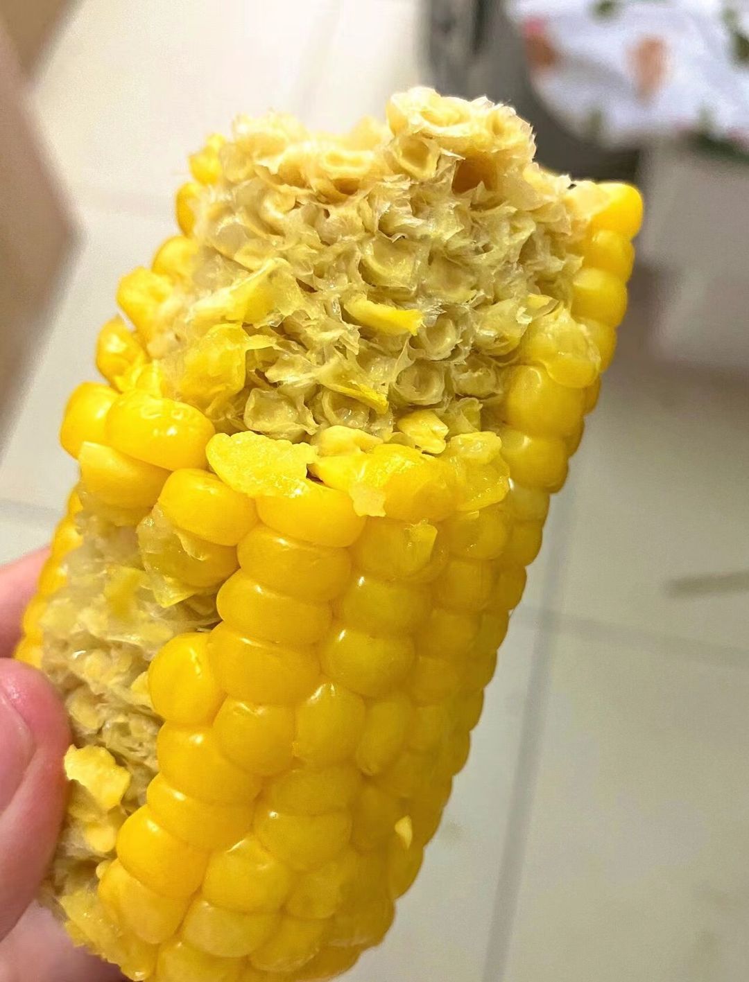 😍咬破的玉米粒，露出晶莹如冰糖心的果肉💛 配图2
