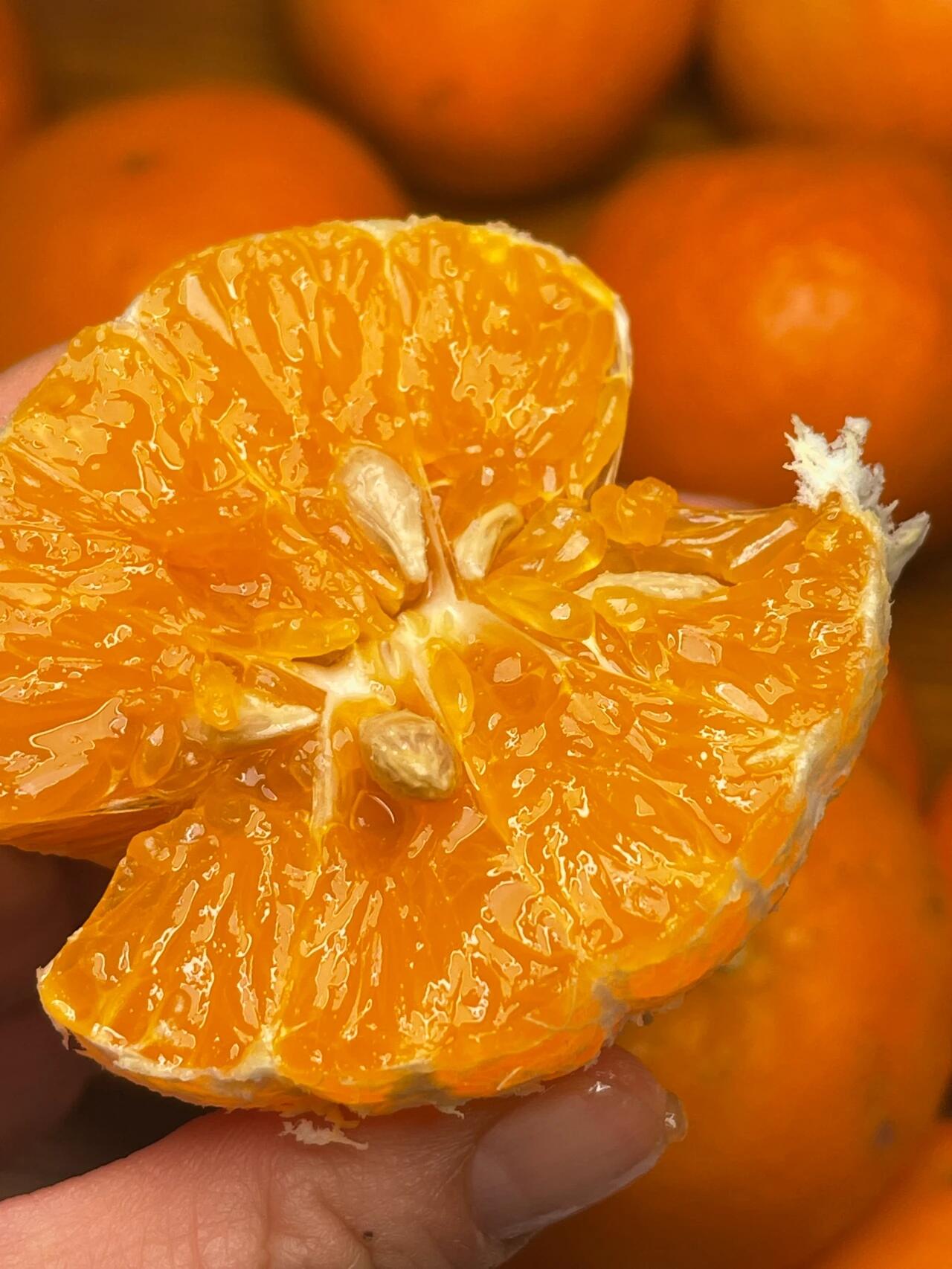 🍊 沃柑上市啦！🍊 果皮光滑好剥👌一撕就 配图3