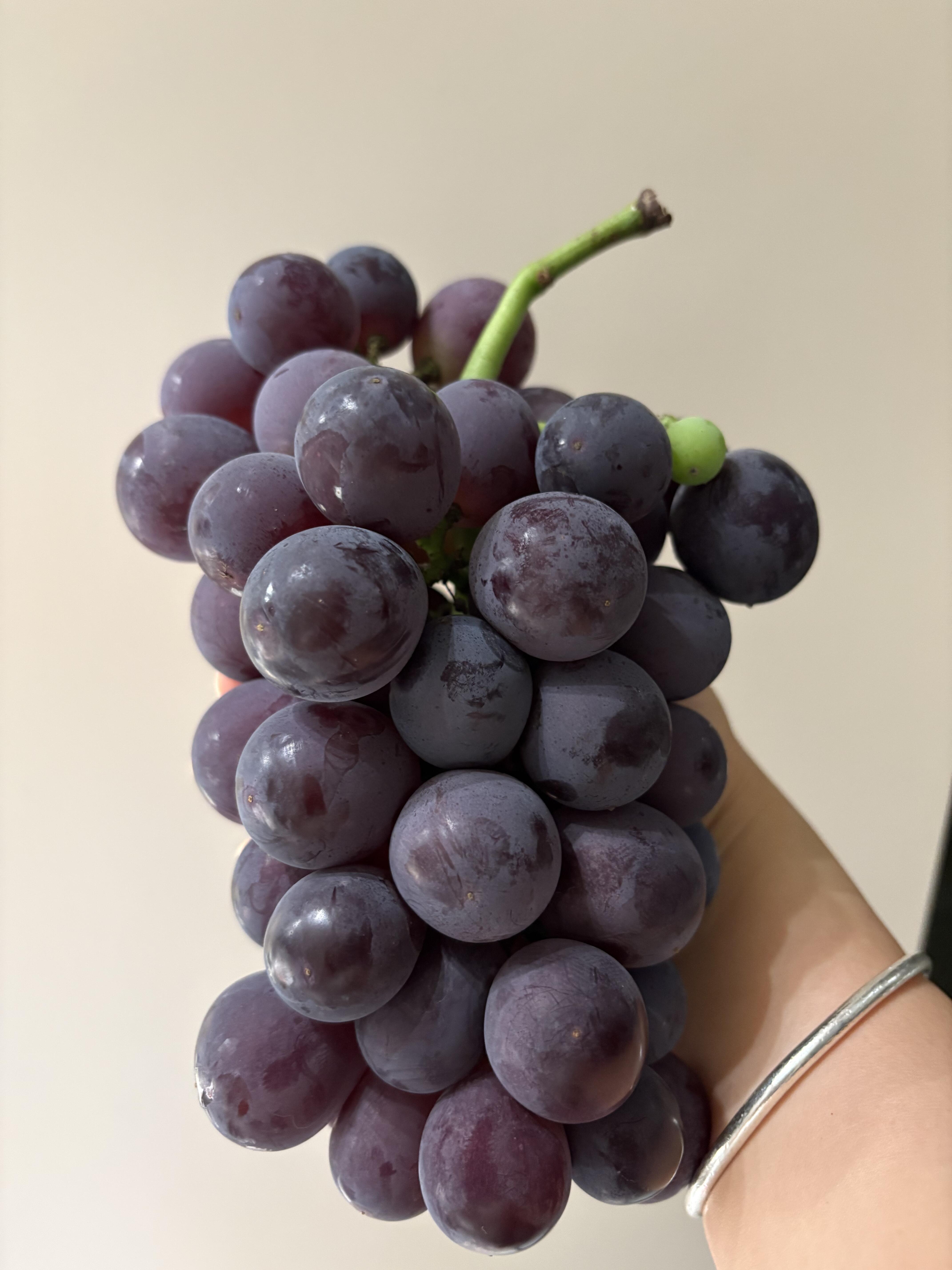 🍇 巨峰葡萄！ 果粒挺大 🍇 看着就有食 配图2